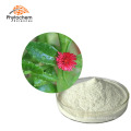Improve Immunity Food Herbal 10%-98% Andrographolide Andrographis Paniculata Extract//